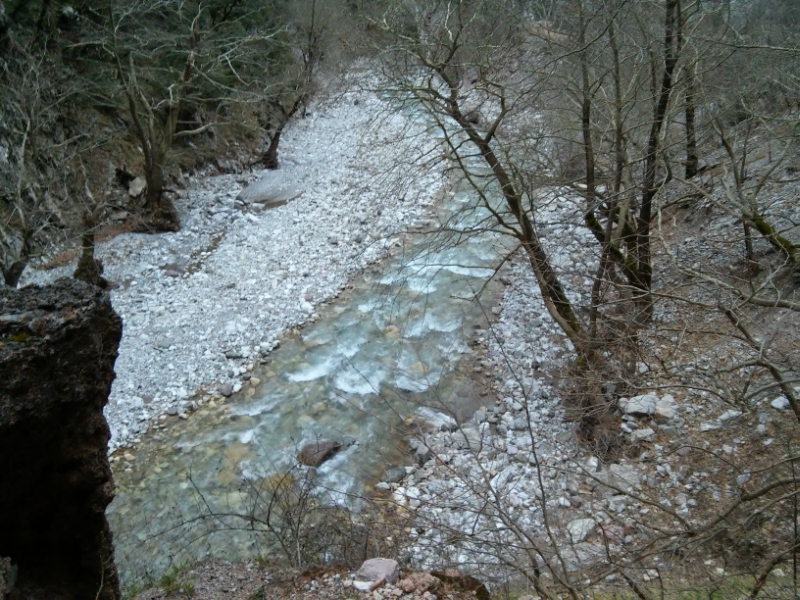 20170306_073853.jpg