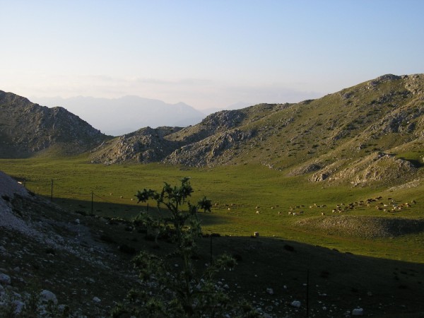 P1010367.jpg