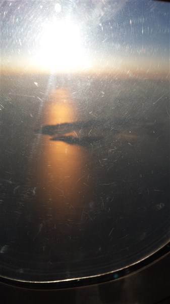 20170414_071200 (337 x 600).jpg