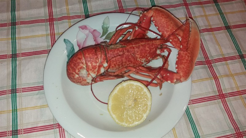 20170511_213409.jpg