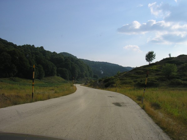 P1010418.jpg