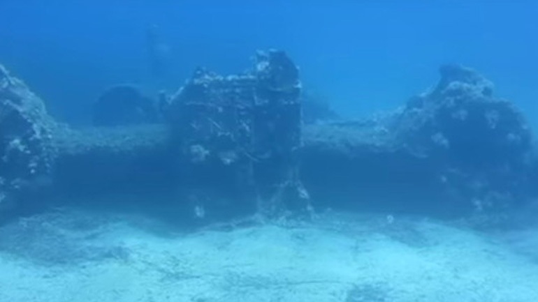 2244033.jpg