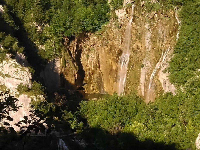 DSC_1020.jpg