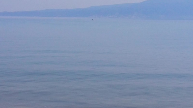 20170723_112913_Moment.jpg