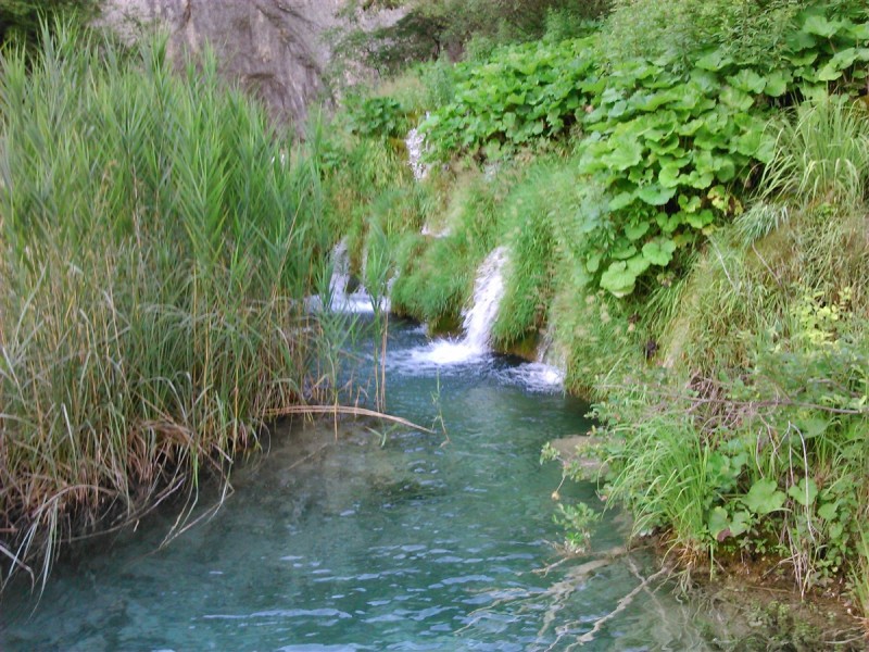 DSC_1051.jpg