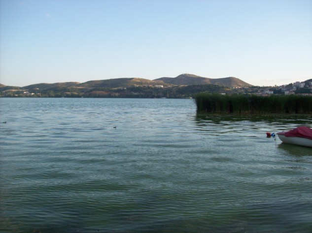 100_2535.jpg