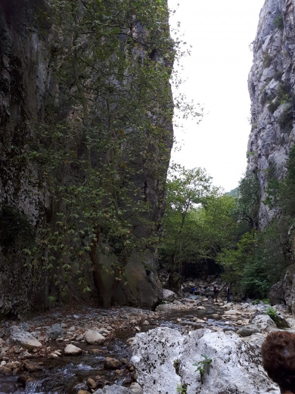 20170829_134842 (800 x 1067)rsz.jpg
