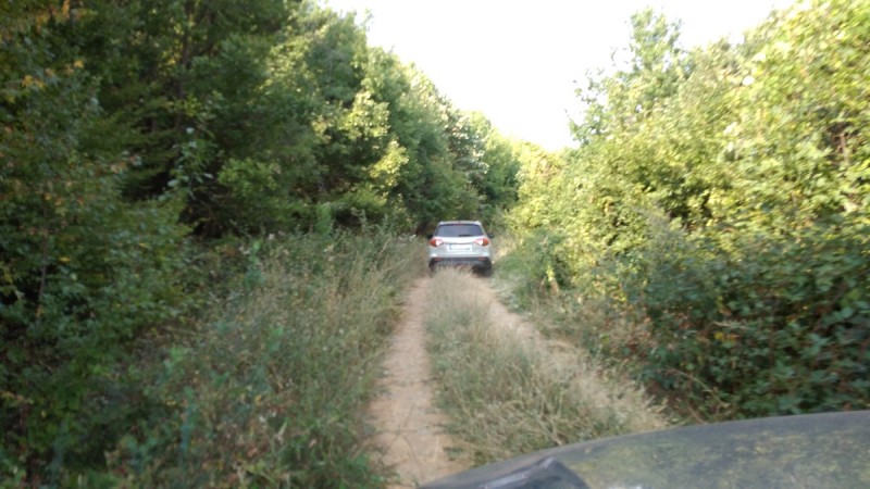 IMG_9365.jpg
