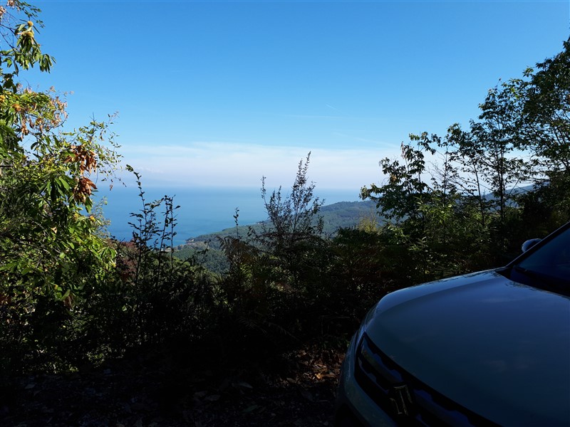 20171015_122024 (800 x 600)rsz.jpg
