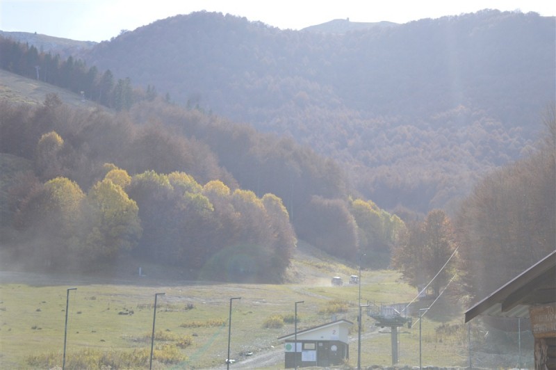 _DSC0003.jpg