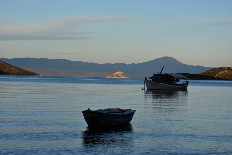 dsc_2500.jpg