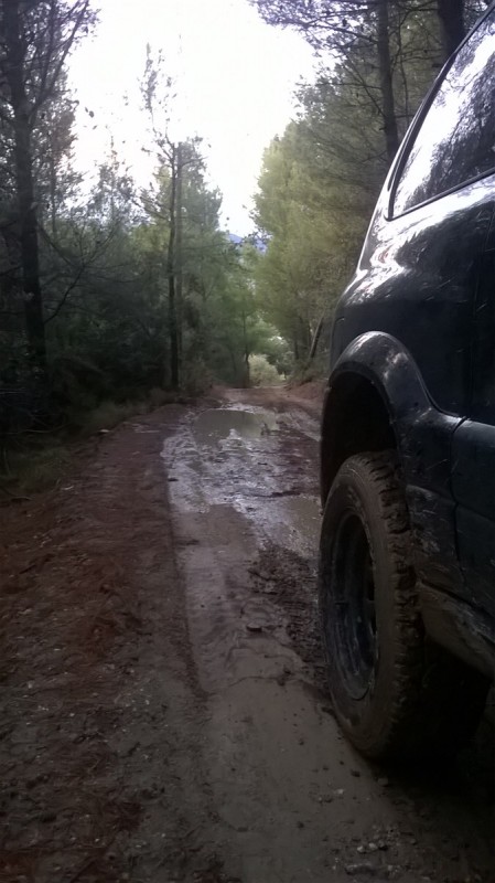WP_20171104_004.jpg