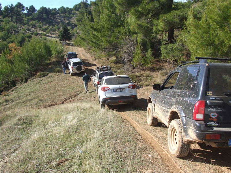 DSCF5345.jpg