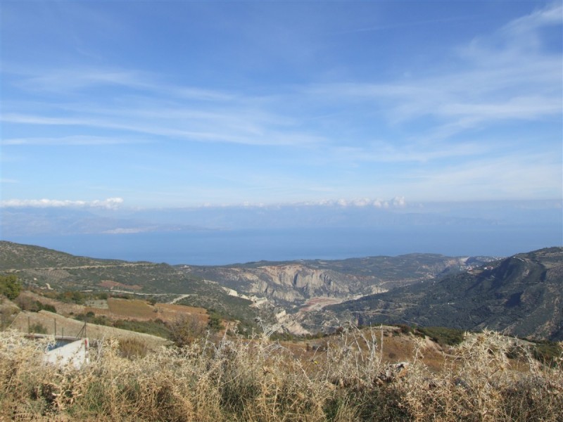 DSCF5335.jpg
