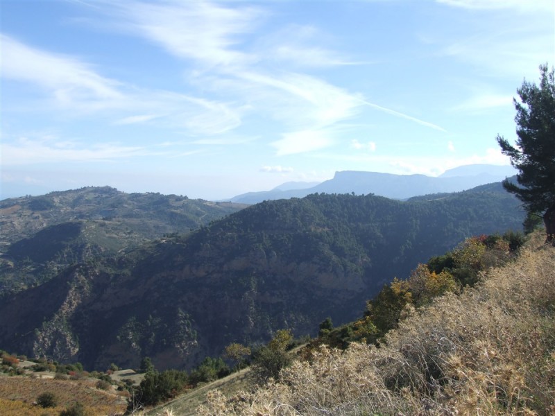DSCF5336.jpg