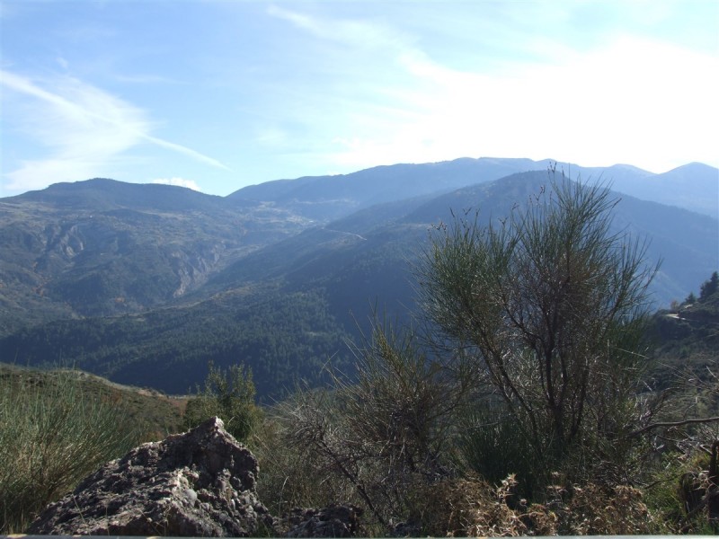 DSCF5337.jpg