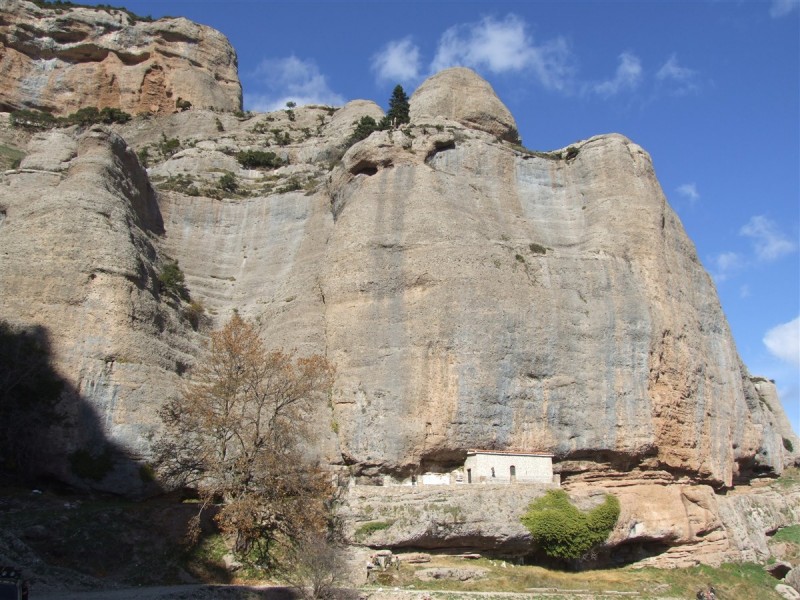DSCF5349.jpg