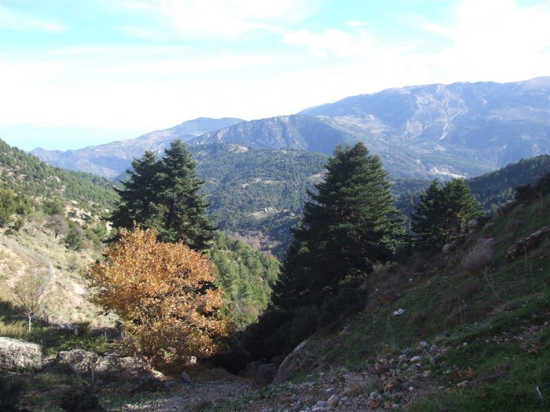 DSCF5348.jpg
