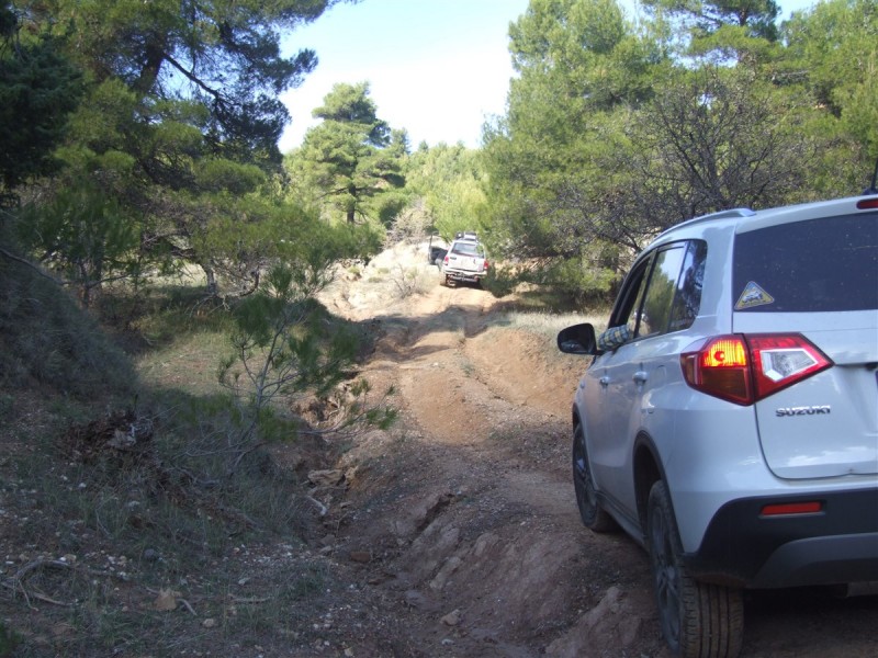 DSCF5339.jpg
