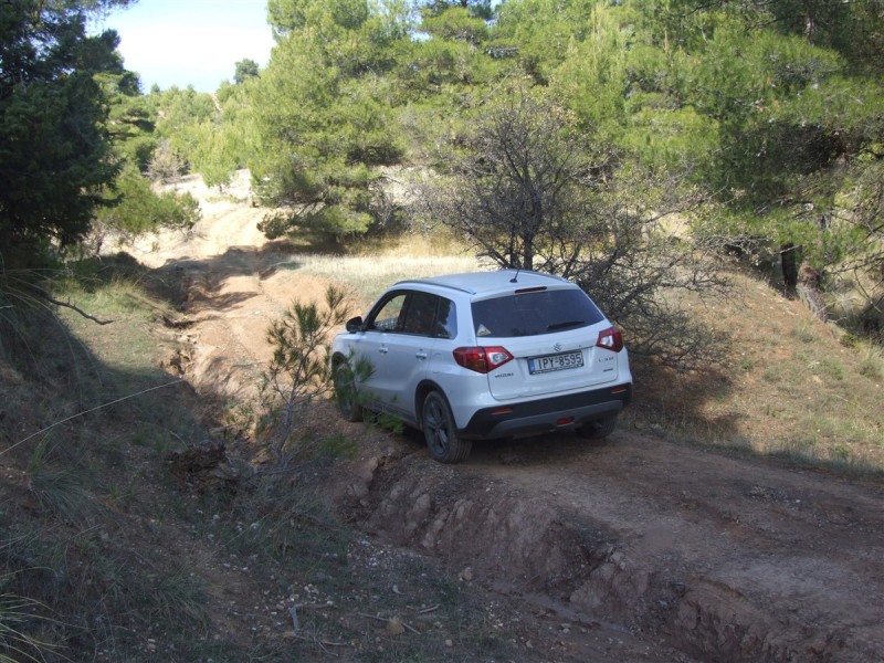 DSCF5340.jpg