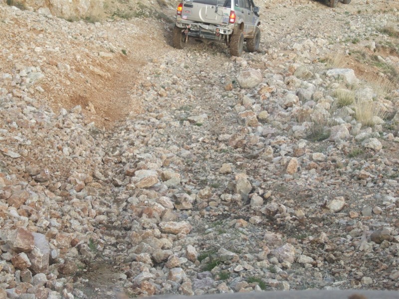 DSCF5374.jpg