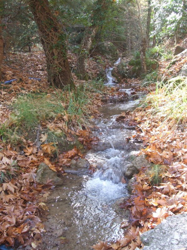 DSCF5352.jpg