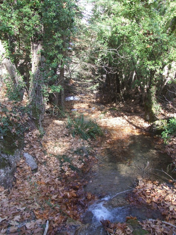 DSCF5353.jpg