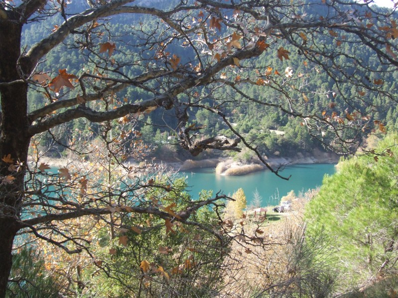 DSCF5354.jpg
