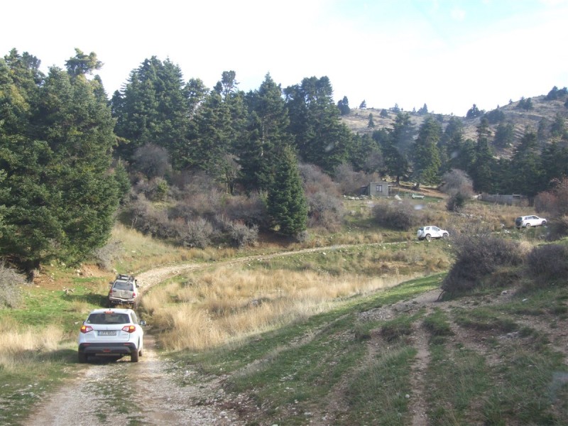 DSCF5366.jpg