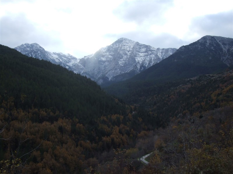 DSCF5378.jpg