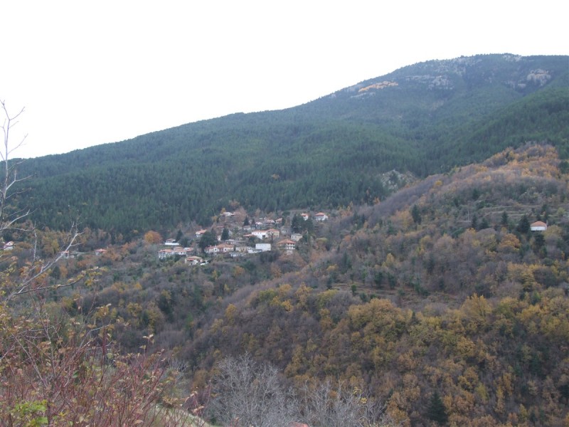DSCF5380.jpg