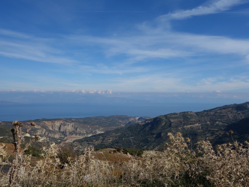 DSC01511.jpg
