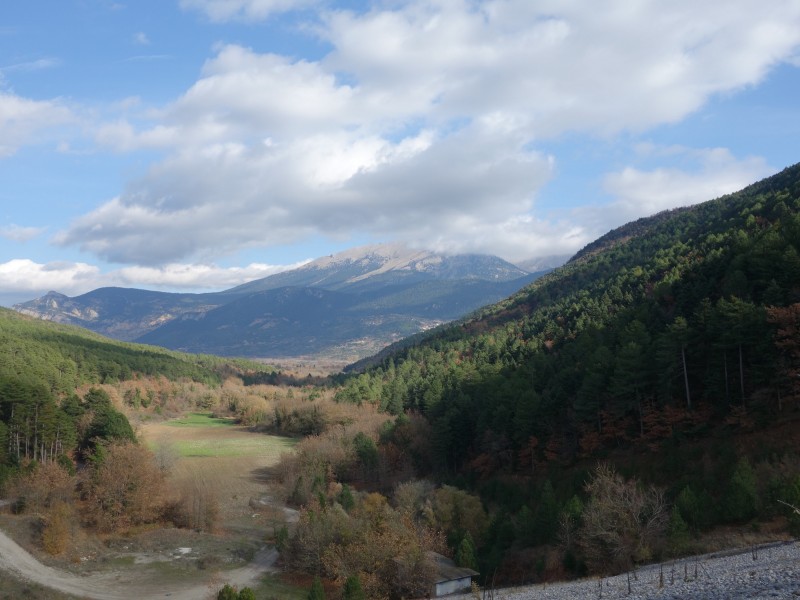 DSC01554.jpg