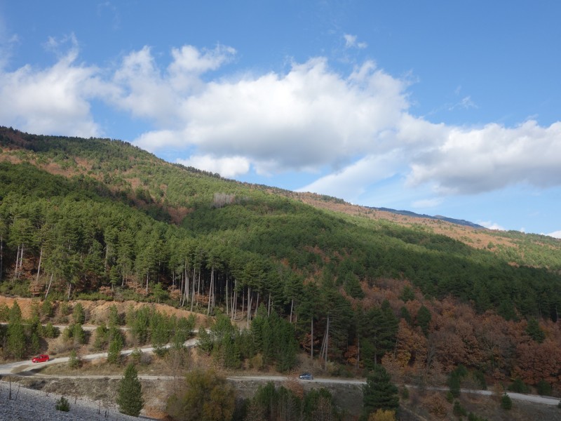 DSC01555.jpg