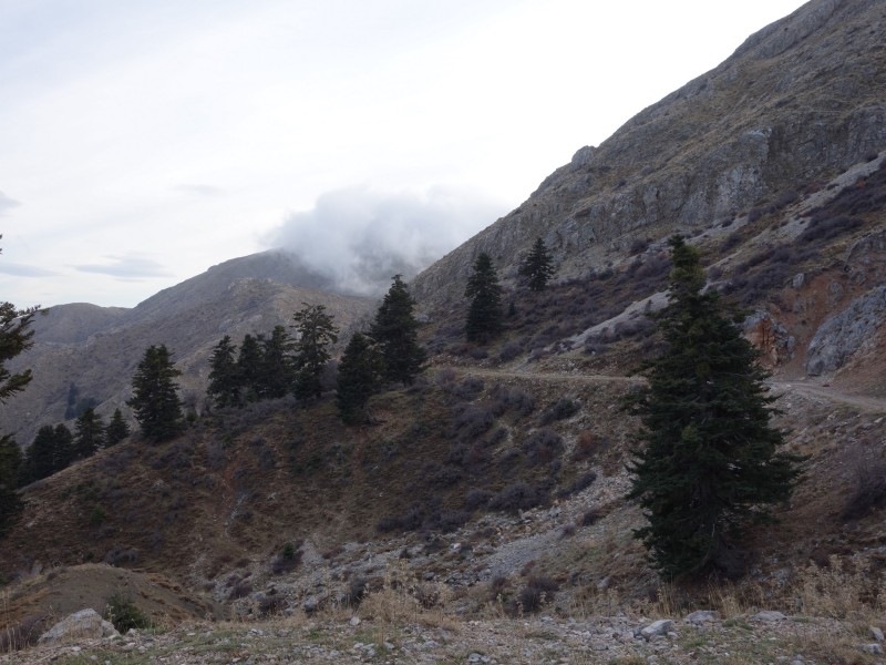 DSC01570.jpg