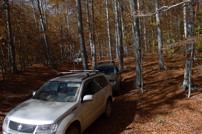 DSC_6425a.jpg