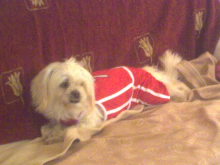 29112009112.jpg