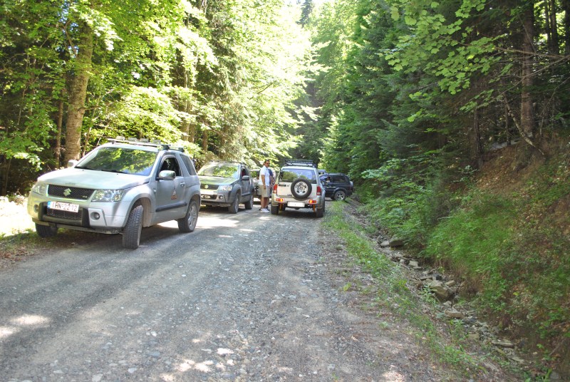DSC_2535.jpg