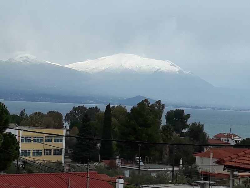 res20171223_085533.jpg