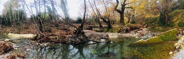IMG_1507.jpg