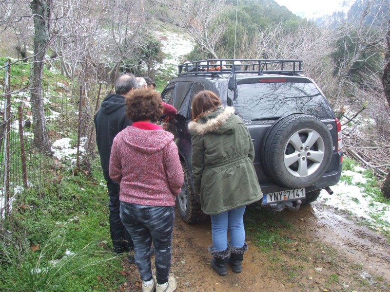 DSCF5410.jpg