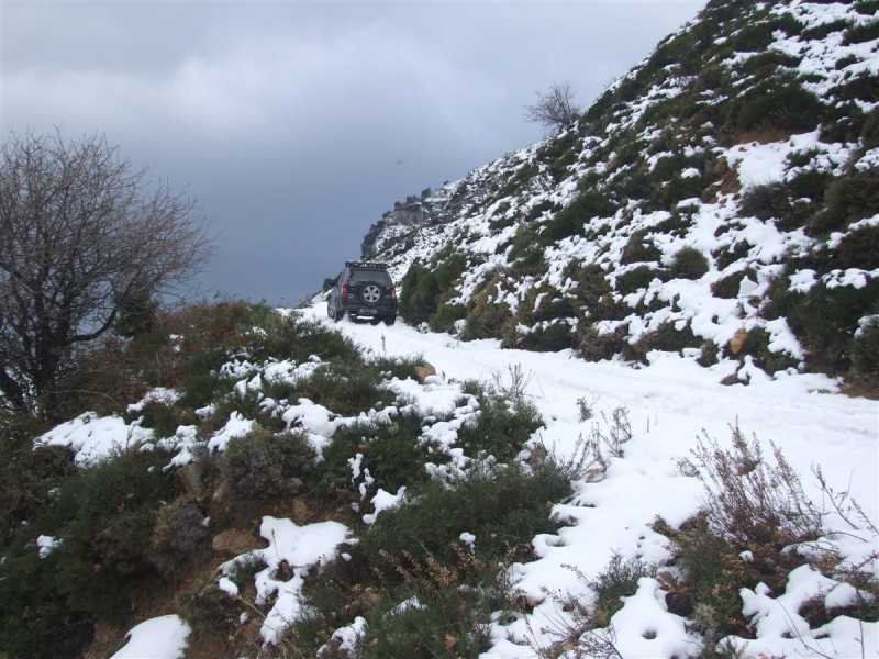 DSCF5412.jpg