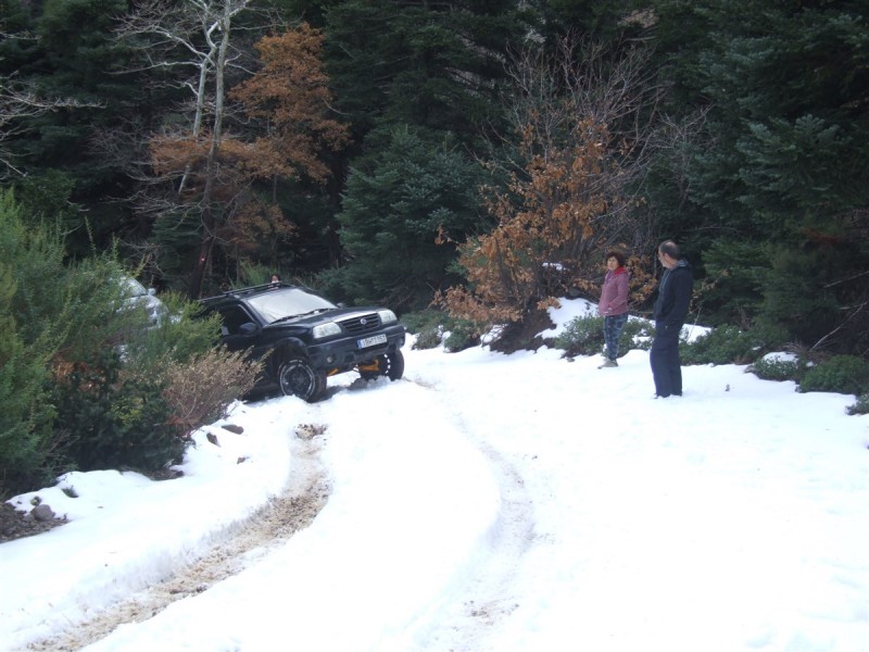 DSCF5425.jpg