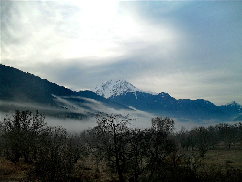 SDC14314(1) (800 x 600).jpg