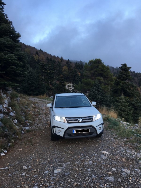 vitara1.JPG