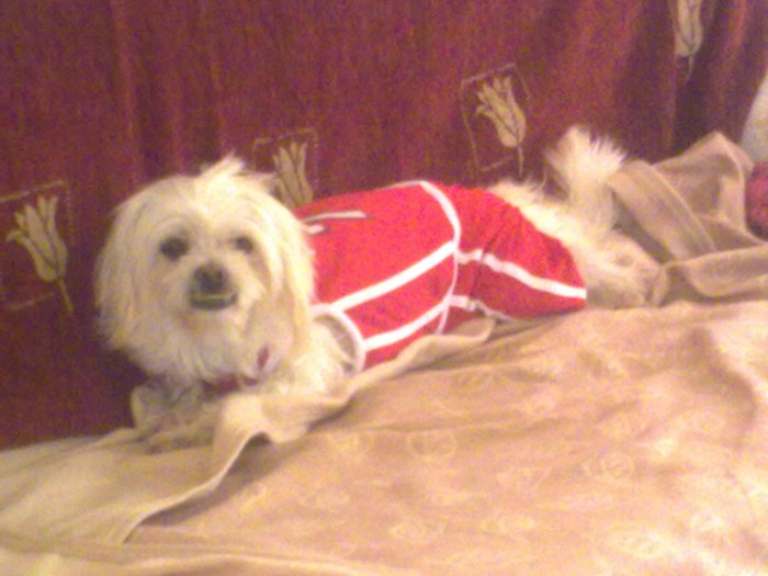 29112009114.jpg