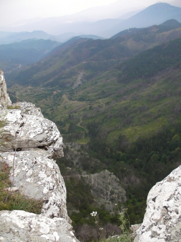 SANY0081.jpg