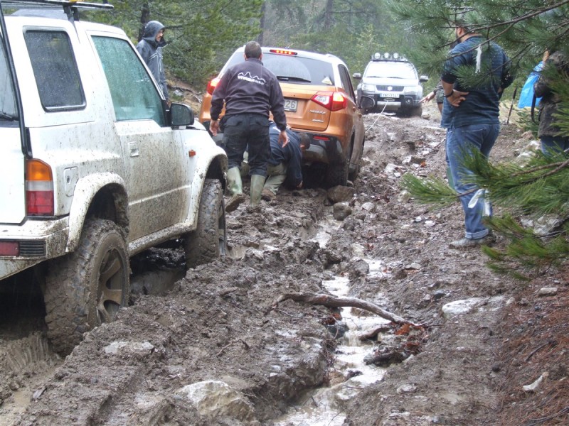 DSCF5528.jpg