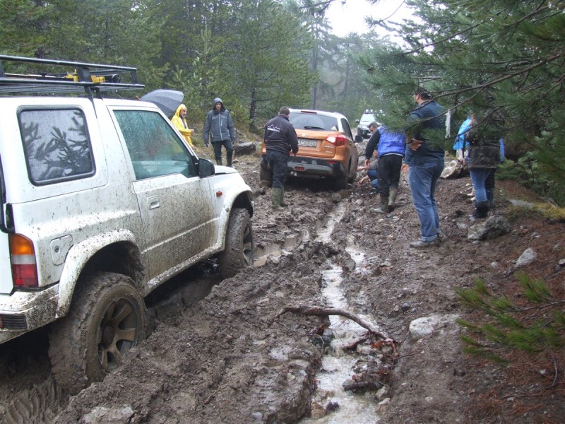 DSCF5531.jpg