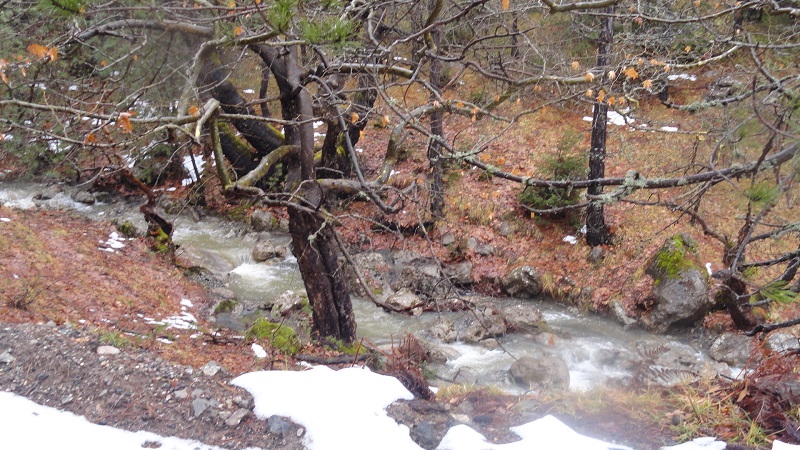 DSC05868.JPG